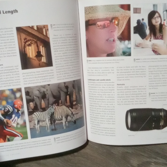 A step-by-step guide to taking great photographs by Steve Luck. - Picture 4 of 5